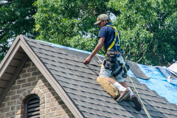 Best Roof Waterproofing Services  in Blair, WI